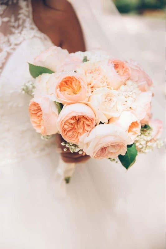 La Primavera - Immagine 1