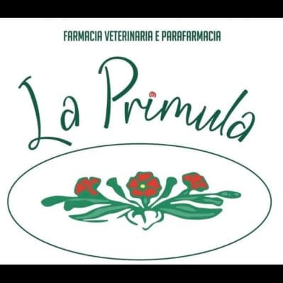 La Primula - Immagine 1