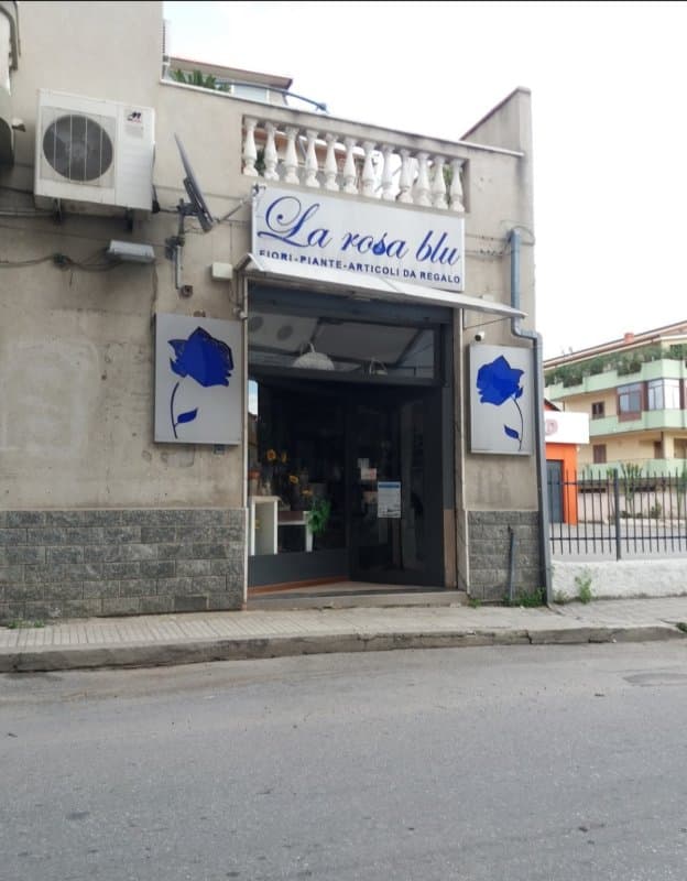 La Rosa Blu - Immagine 1