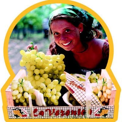 La Veronica - Immagine 1