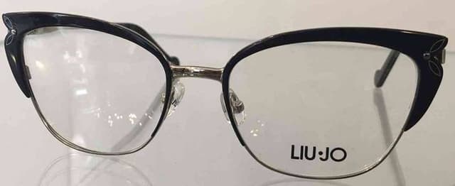 La Visottica - Immagine 1