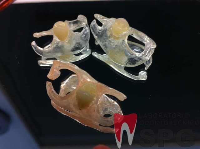 Laboratorio Odontotecnico Spg di Giacomini - Immagine 2