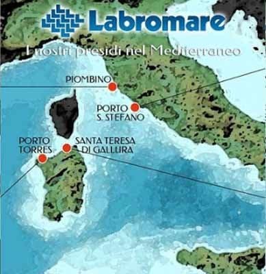 Labromare - Immagine 1