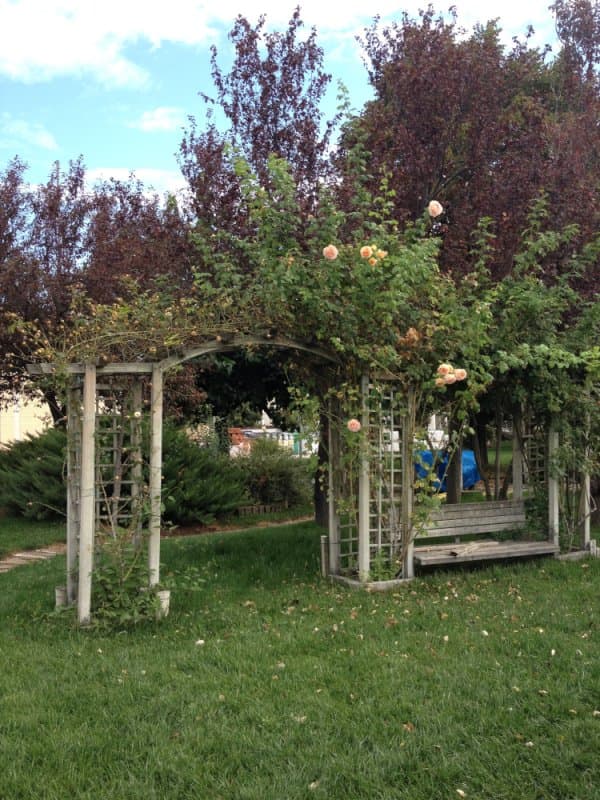 L'Agrotecnica - Immagine 1