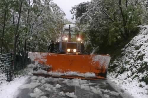 Land Mover - Immagine 2