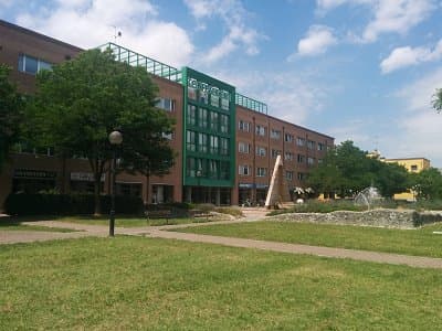 Language Service srl - Immagine 1