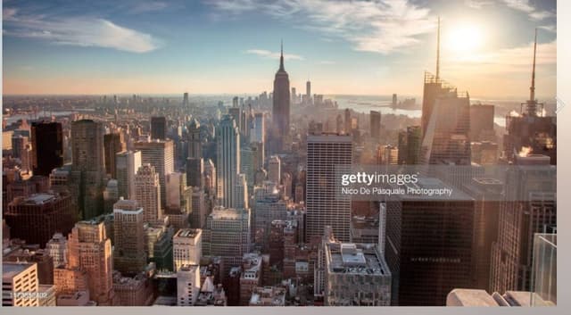 Language Service srl - Immagine 2