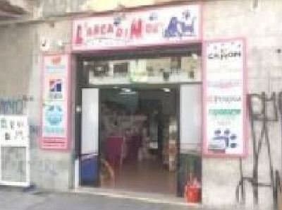 L'Arca di Noe' - Immagine 1