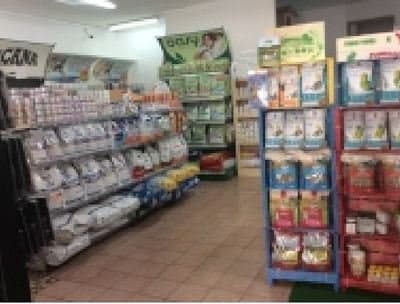 L'Arca di Noe' - Immagine 2