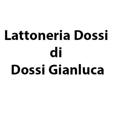 Lattoneria Dossi - Immagine 1