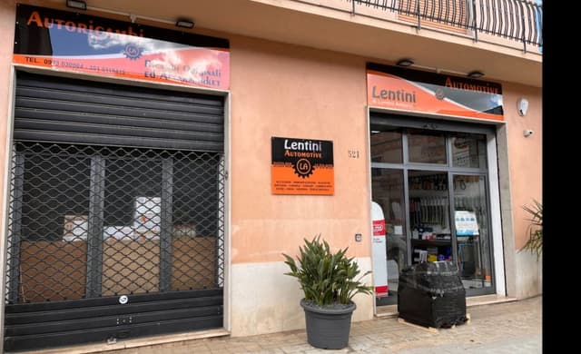 Lentini Automotive - Immagine 1