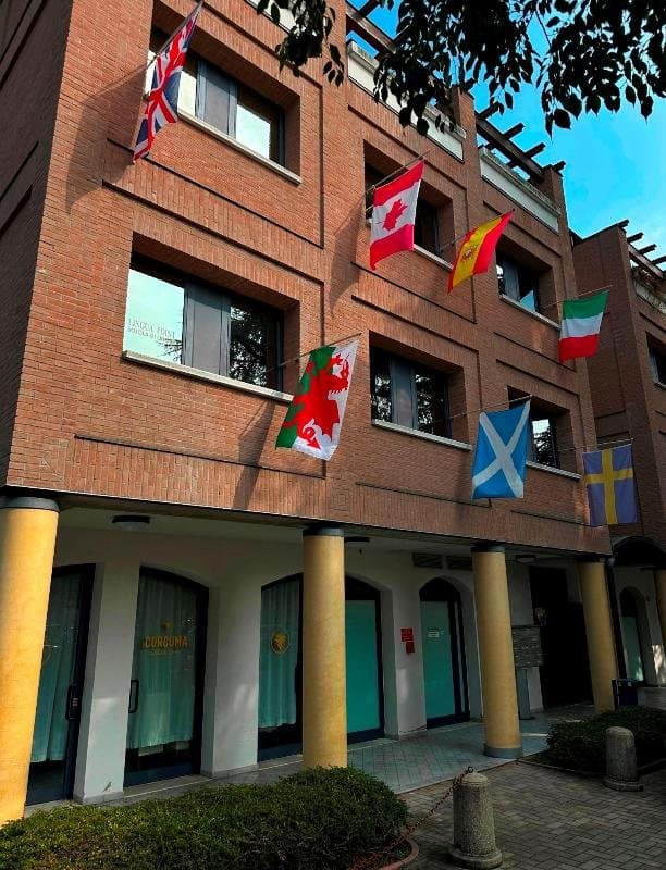 Lingua Point - Immagine 2