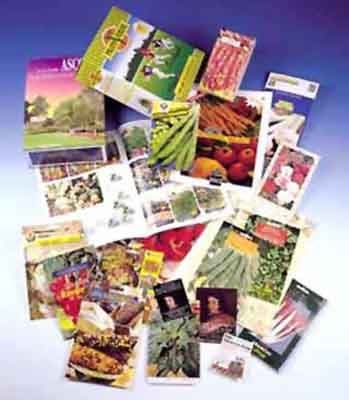 Lito B.M. - Immagine 1