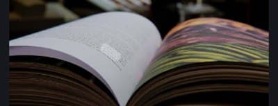 Litopat - Immagine 1