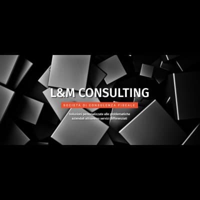 L&M Consulting - Immagine 1