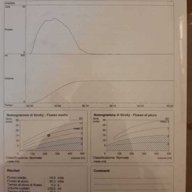 Lombardi Giovanni Pietro - Immagine 2