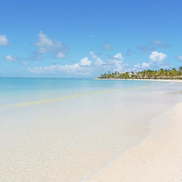 Magoni Viaggi - Immagine 1