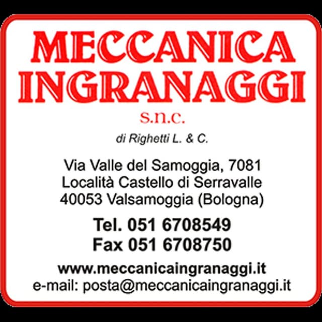 Meccanica Ingranaggi - Immagine 1