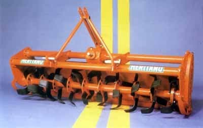 Meritano - Immagine 1