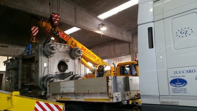 Merlino - Immagine 2