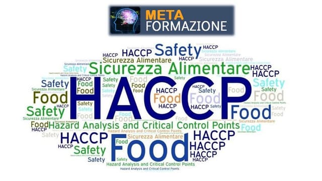 Meta Formazione Agenzia Formativa - Immagine 1
