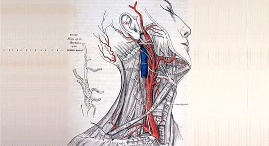 Miconi Marco Otorino - Immagine 1