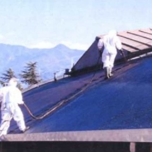 Miorini Virgilio Emmevi - Immagine 1