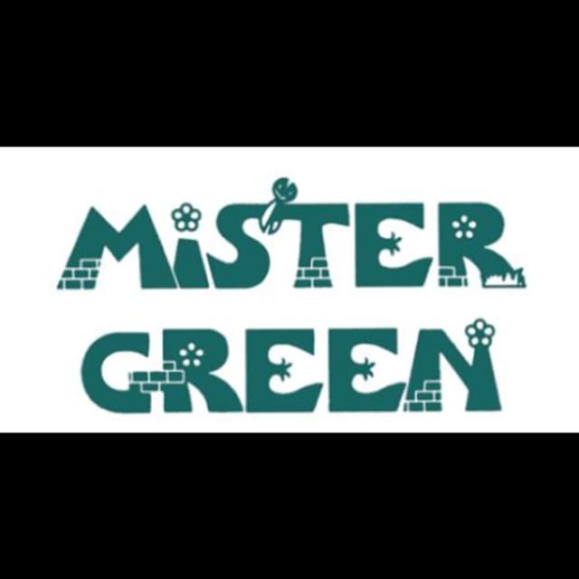 Mister Green - Immagine 1