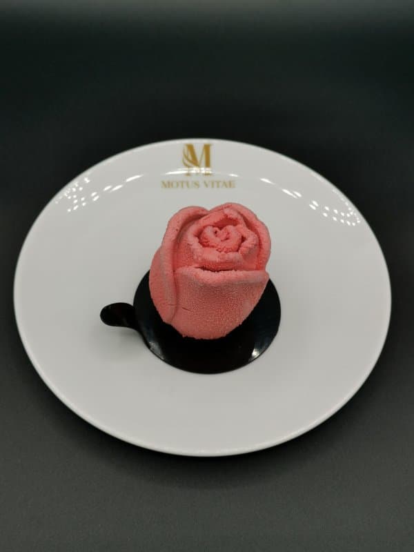 Motus Vitae - Immagine 1