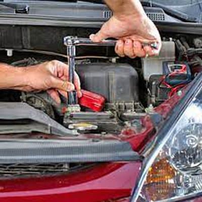 Mussi Adamo  Mussi Alessandro - Immagine 1