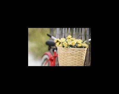 My Garden - Immagine 2