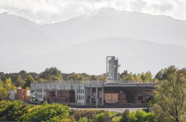 Mzdp Wood - Immagine 1