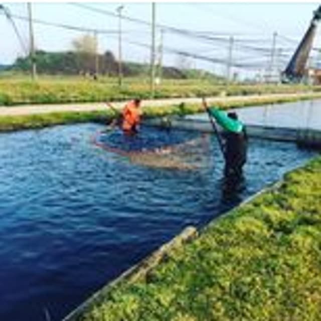 Nai Bruno Commercio Prodotti Ittici - Immagine 1