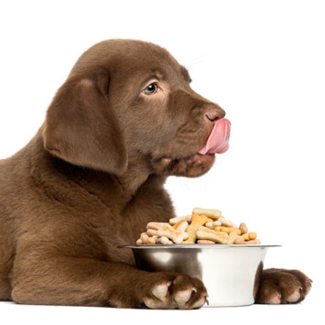 New Power Food - Immagine 2