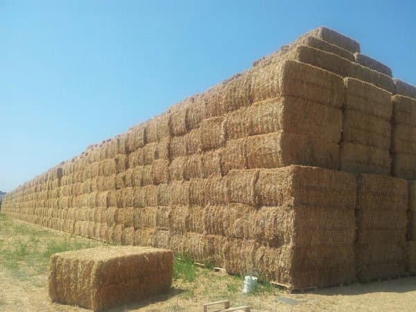 Nord Foraggi - Immagine 1