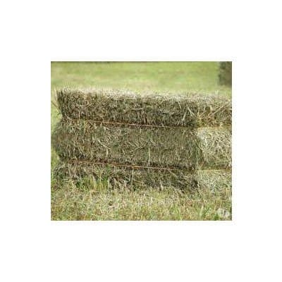 Nord Foraggi - Immagine 2