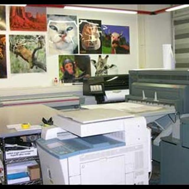 Novostile - Immagine 2