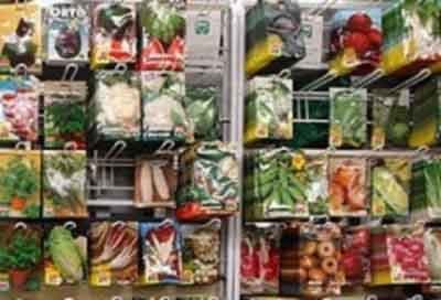 Nuova Ilma - Immagine 1