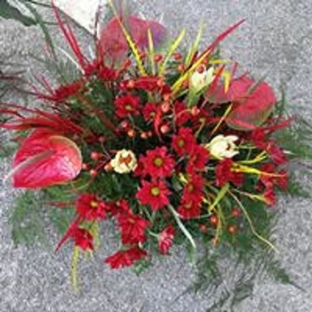 Nuova Vivai del Corno - Immagine 1