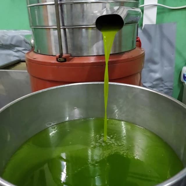 Oleificio Oddo - Immagine 2