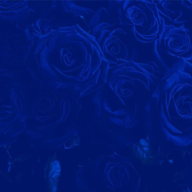 Onoranze funebri Antica Rosa - Immagine 2