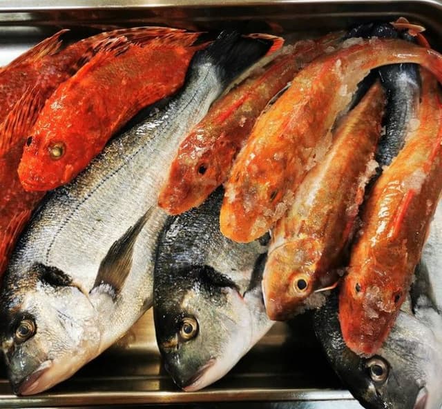 Osteria del Vicoletto - Immagine 2