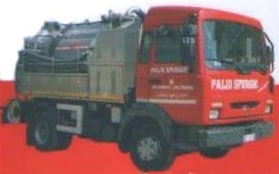 Paliospurghi - Immagine 1