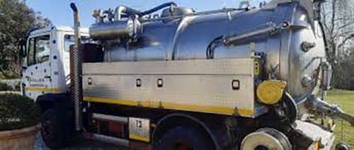 Palma Spurgo - Immagine 1