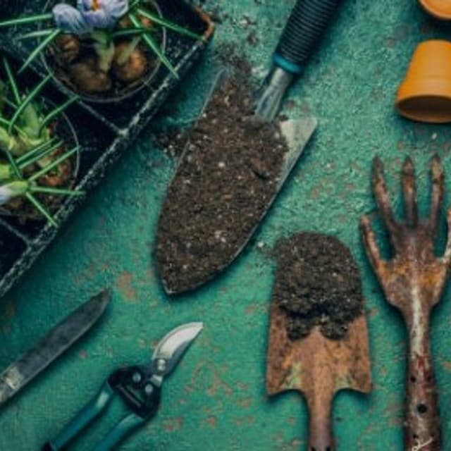 Pennone Ivan - Giardiniere - Immagine 1