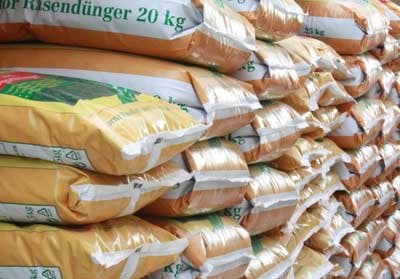 Pernarella Giovanni - Immagine 2