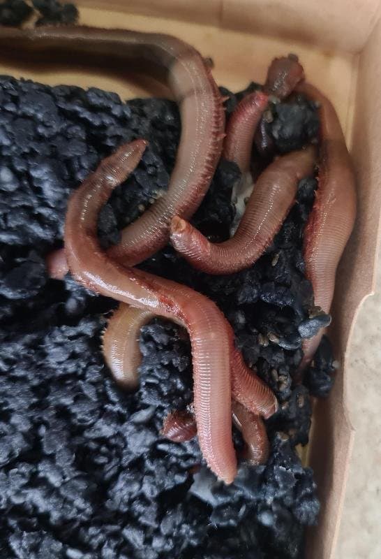 PescaInn Mare - Immagine 2