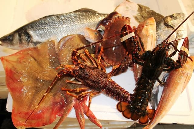 Pescheria Dolfi Fulvio - Immagine 1