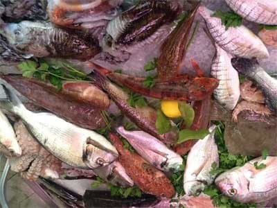 Pescheria Il Piscione - Immagine 1