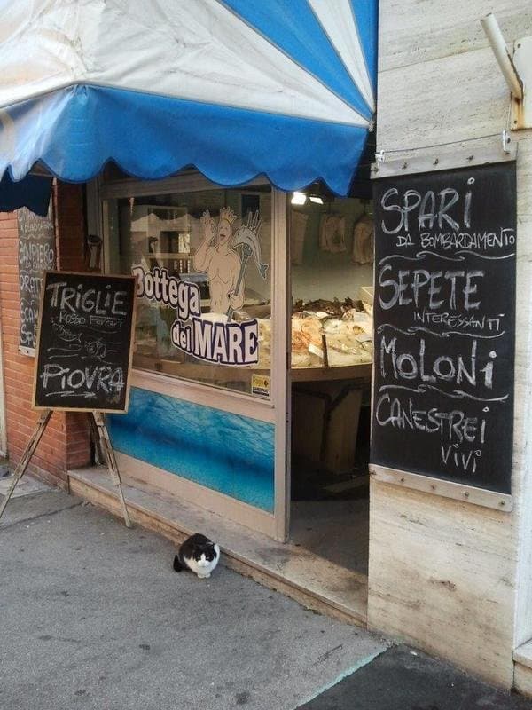 Pescheria La Bottega del Mare - Immagine 1